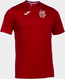 Baldock Town Youth Home Shirt with sponsor